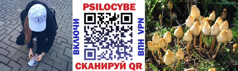 Галлюциногенные грибы прущие грибы  Купить где  Котельнич 