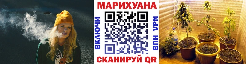 Канабис OG Kush  Купить закладки  Котельнич 